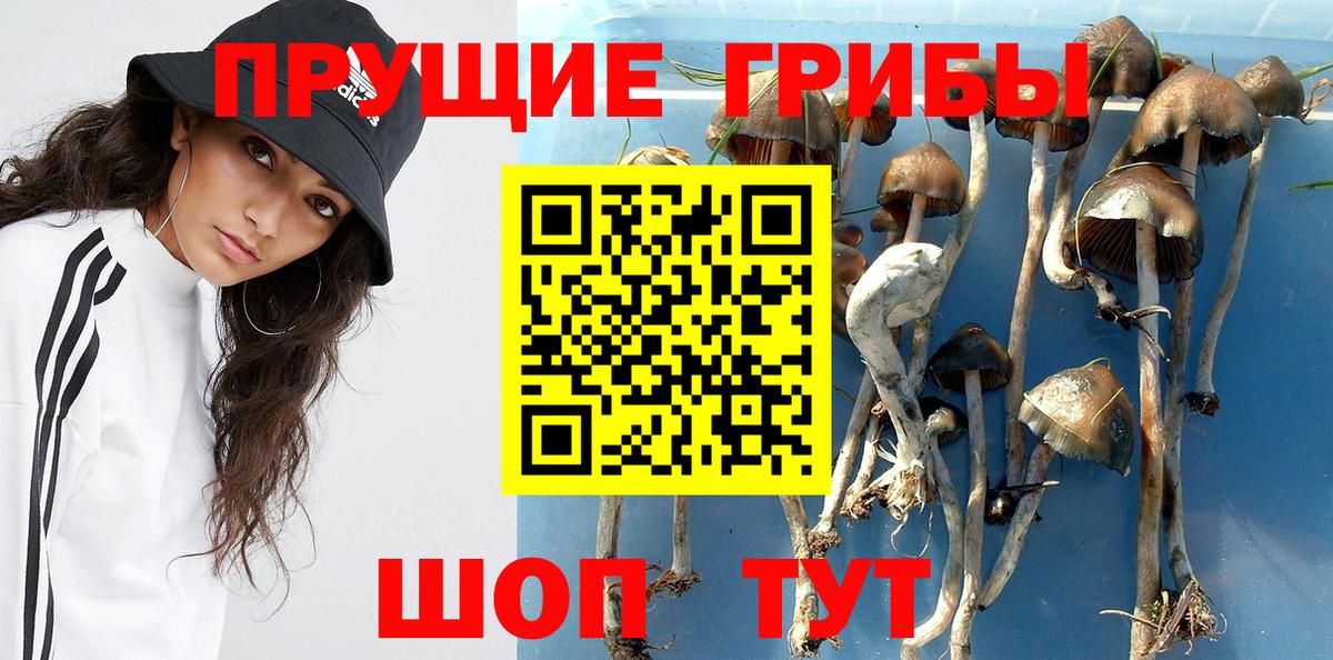 Псилоцибиновые грибы прущие грибы Татарск