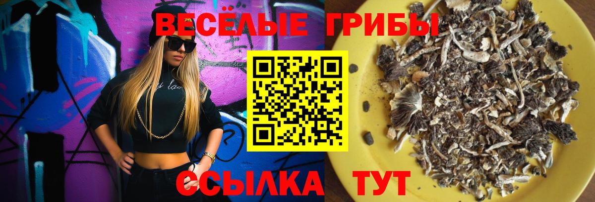 где купить наркоту  Галлюциногенные грибы ЛСД  Вход с VPN  Татарск 