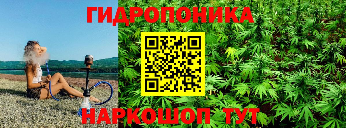 Канабис конопля Татарск